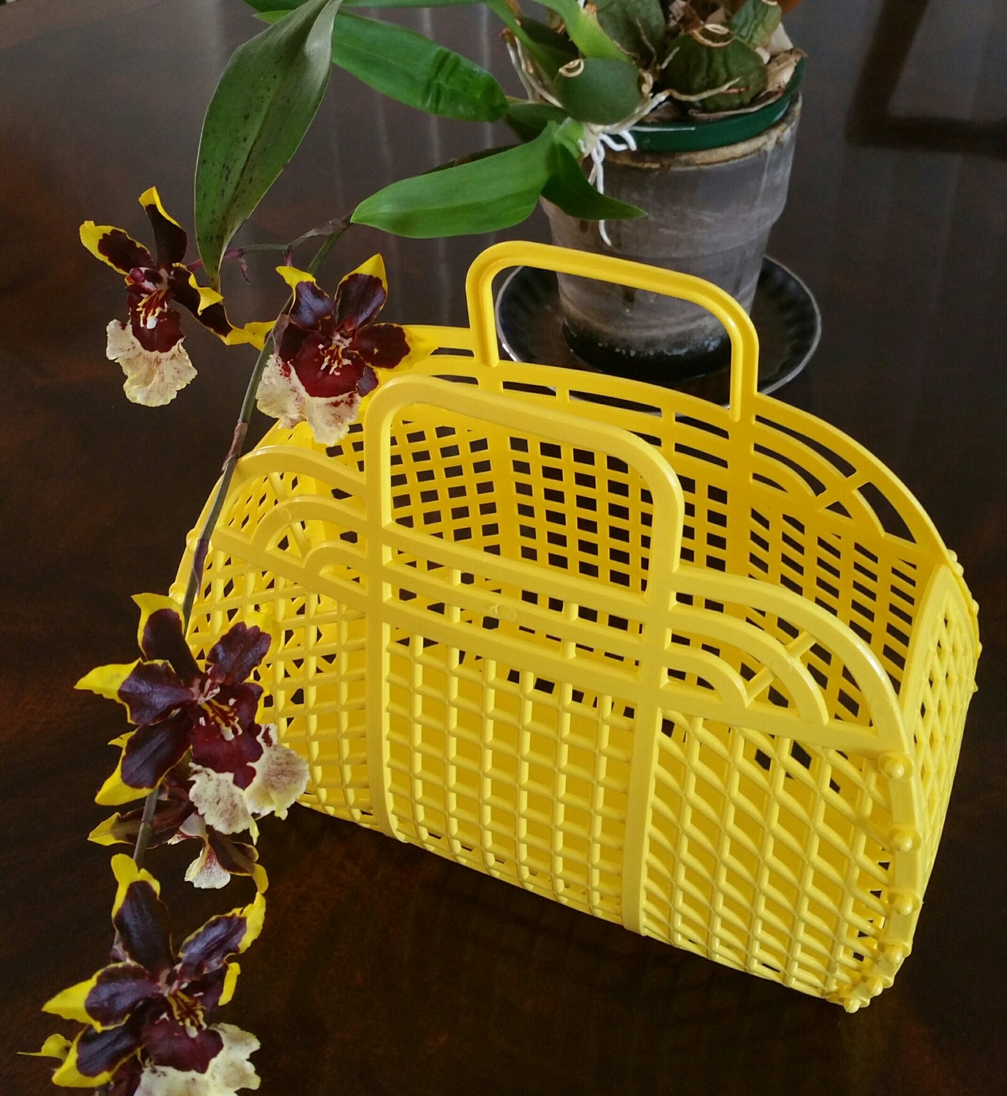 9" Retro Jelly Purse, Tote, Bag, Basket